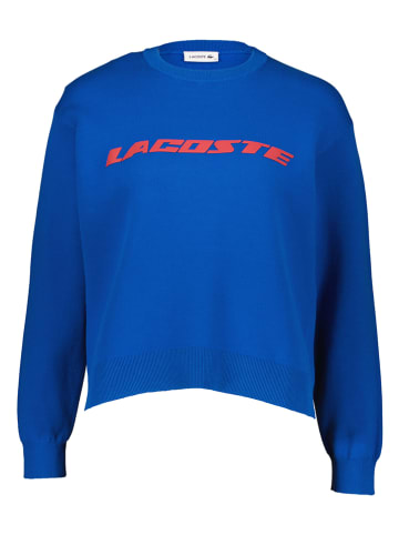 Lacoste Sweter w kolorze niebieskim