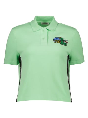 Lacoste Koszulka polo w kolorze zielonym