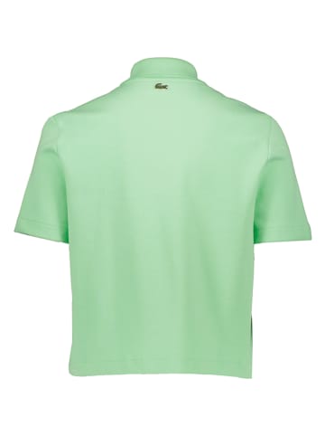 Lacoste Koszulka polo w kolorze zielonym