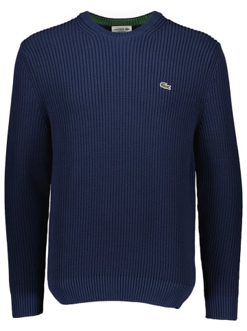 Lacoste Pullover in Dunkelblau