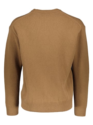 Lacoste Pullover in Hellbraun