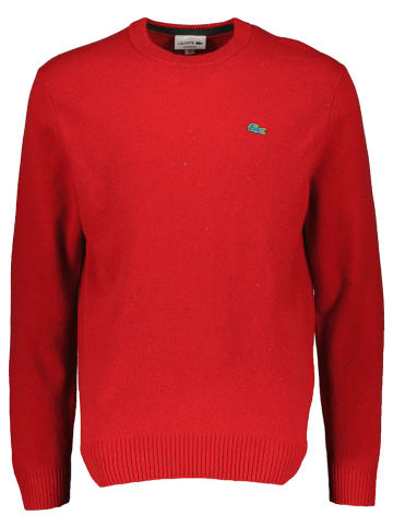 Lacoste Wollpullover in Rot