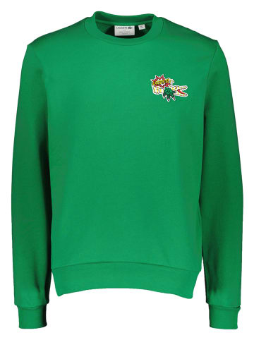 Lacoste Sweatshirt groen
