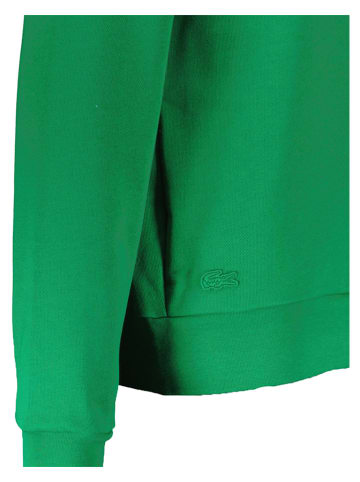 Lacoste Sweatshirt in Grün