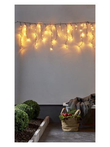 STAR Trading LED-Lichterkette "Icicle" in Schwarz - (B)590 cm