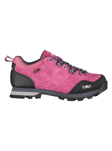 CMP Skórzane buty trekkingowe "Alcor" w kolorze czarno-różowym