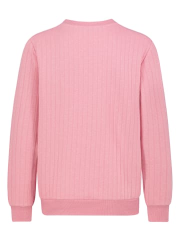 Sublevel Sweatshirt in Rosa