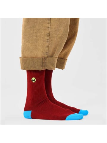 Happy Socks Sokken bordeaux