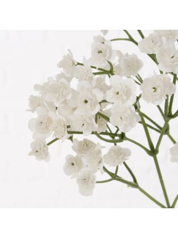 Boltze Decoratieve tak "Schleierkraut" wit - (H)70 cm