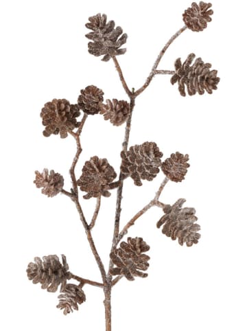 Boltze Gałązka dekoracyjna w kolorze brązowym - 50 cm
