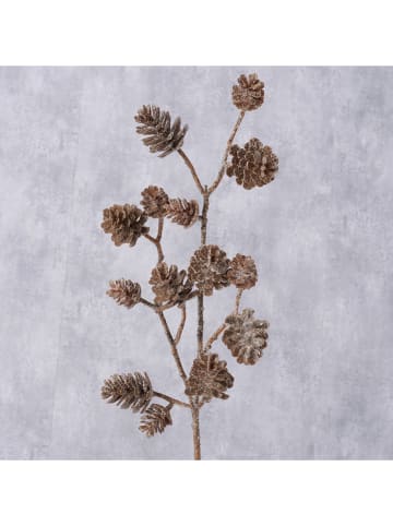 Boltze Decoratieve tak "Dennenappels" bruin - (H)50 cm