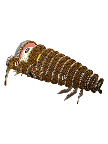 Eugy 3D-knutselset "Bruine Kiwi" - vanaf 6 jaar