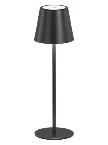 FH Lighting LED-Tischleuchte "Viletto" in Schwarz - (H)36,5 x Ø 11 cm