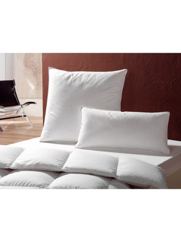 Häussling Bettwaren Trójkomorowa poduszka "Gronland" w kolorze białym