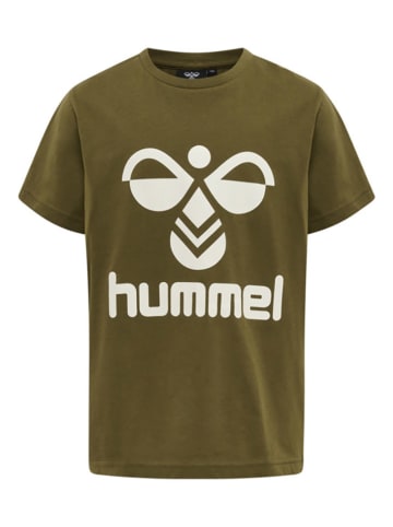 Hummel Shirt "Tres" in Oliv