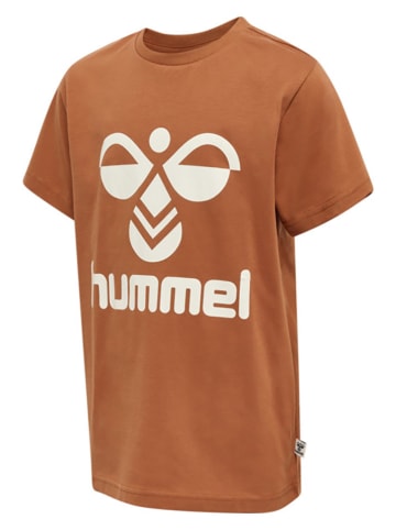 Hummel Shirt "Tres" in Hellbraun
