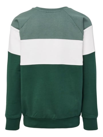 Hummel Sweatshirt "Claes" in Grün
