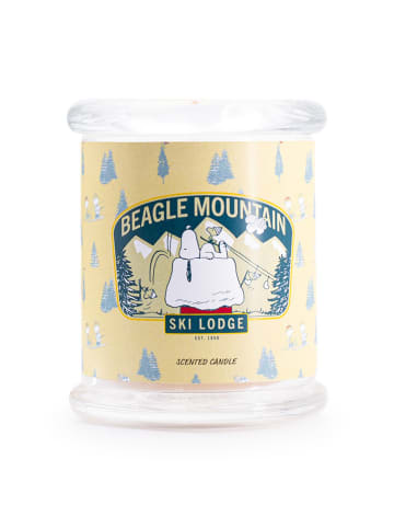 Peanuts Geurkaars "Beagle Mountain" geel - 250 g