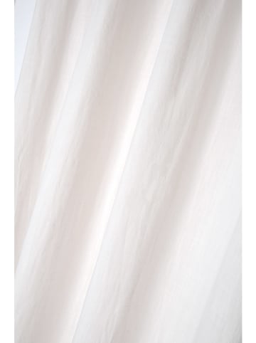 STOF France Ösenvorhang "Windsor" in Creme - (L)260 x (B)140 cm