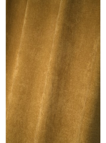 STOF France Ösenvorhang "Grammont" in Senf - (L)260 x (B)140 cm