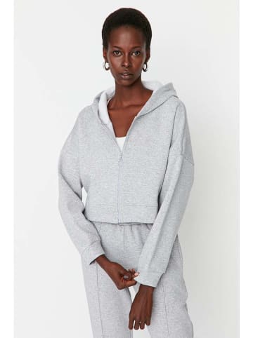 trendyol Sweatjacke in Grau