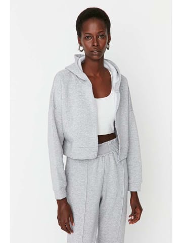 trendyol Sweatjacke in Grau