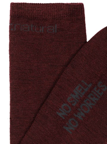 super.natural 2er-Set: Socken "All Day" in Bordeaux