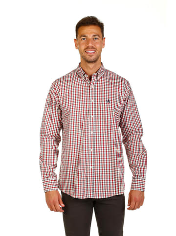 The Time of Bocha Koszula "Cotton" - Regular fit - w kolorze czerwono-białym
