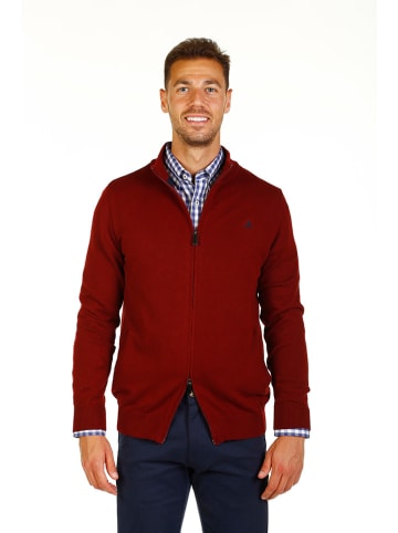 The Time of Bocha Cardigan in Bordeaux