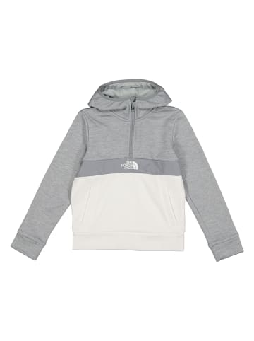 The North Face Fleecepullover in Grau/ Weiß