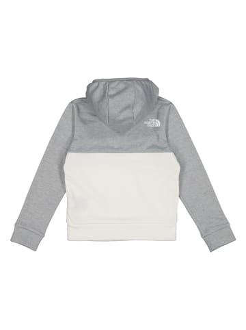 The North Face Fleecepullover in Grau/ Weiß