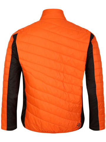 Dare 2b Funktionsjacke "Descending" in Orange