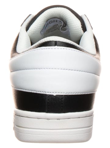 Fila Sneakers in Schwarz/ Weiß