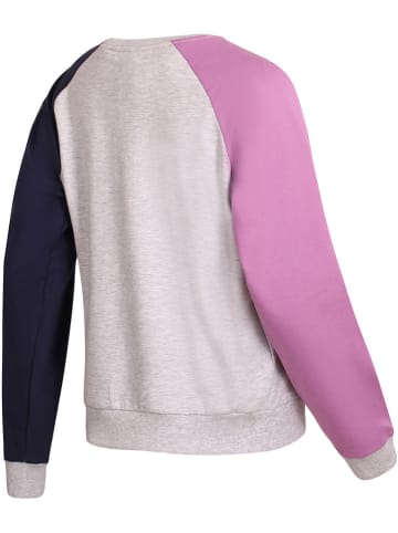 Alpine Pro Sweatshirt "Koleha" in Grau/ Rosa/ Dunkelblau