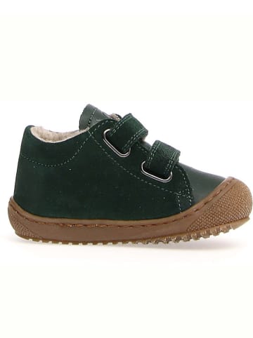 Naturino Skórzane buty "Kolde2" w kolorze zielonym do nauki chodzenia