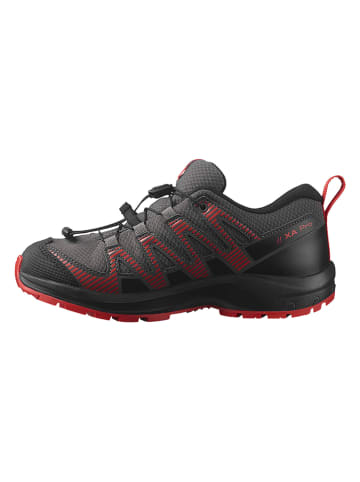 SALOMON Wanderschuhe "Xa Pro v8" in Grau/ Rot