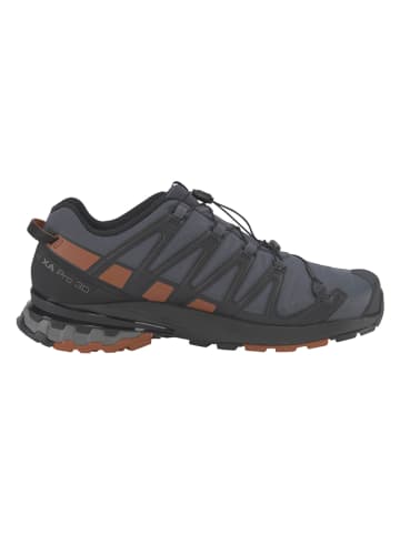 SALOMON Wandelschoenen "Xa Pro 3D v8 Gore Tex®" grijs/lichtbruin