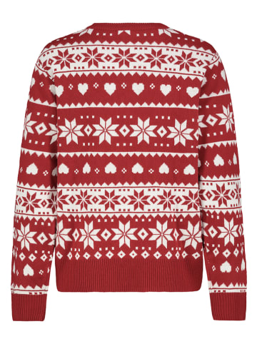 Sublevel Pullover in Bunt