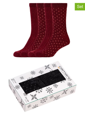 camano 4-delige set: sokken bordeaux