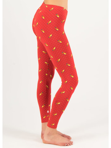 Blutsgeschwister Legging "Lovely Legs" rood/geel