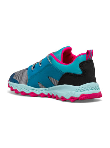 Saucony Hardloopschoenen "Peregrine 12 Shield" turquoise/roze