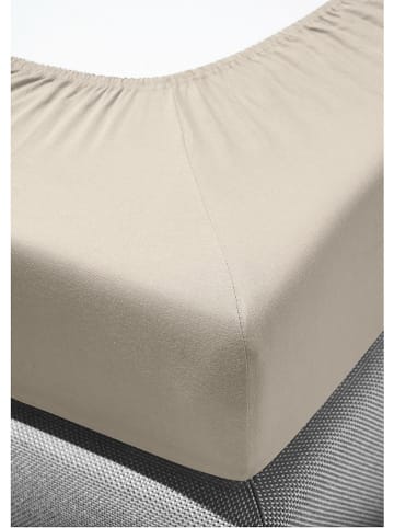 Bierbaum Biber-Spannbettlaken in Beige