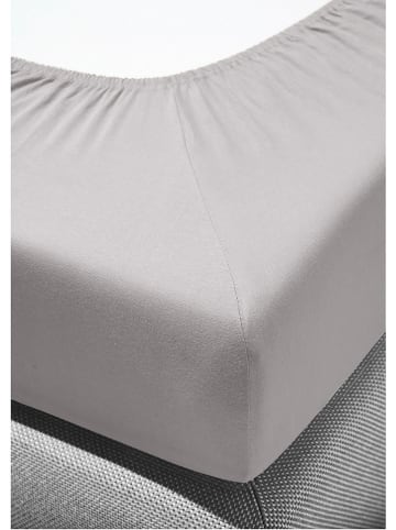 Bierbaum Biber-Spannbettlaken in Grau