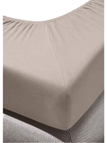 Bierbaum Biber-Spannbettlaken in Beige