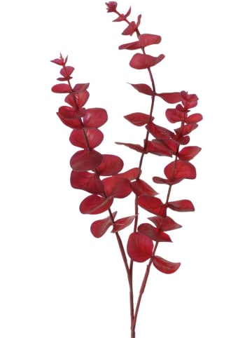 Boltze Decoratieve tak "Eucalyptus" rood - (H)75 cm
