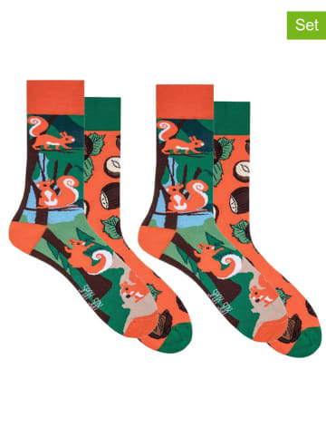 Spox Sox 2-delige set: sokken groen/oranje
