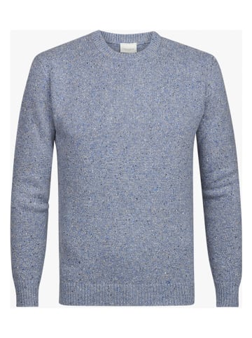 PROFUOMO Pullover in Blau