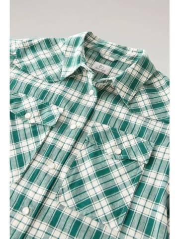 Woolrich Koszula w kolorze zielono-białym