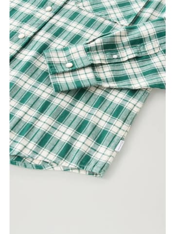 Woolrich Koszula w kolorze zielono-białym