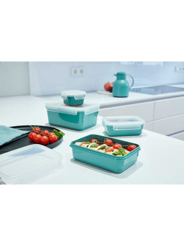 Emsa Vershouddoos "Clip & Close" groen - 550 ml